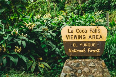 La Coca Falls观景区标牌